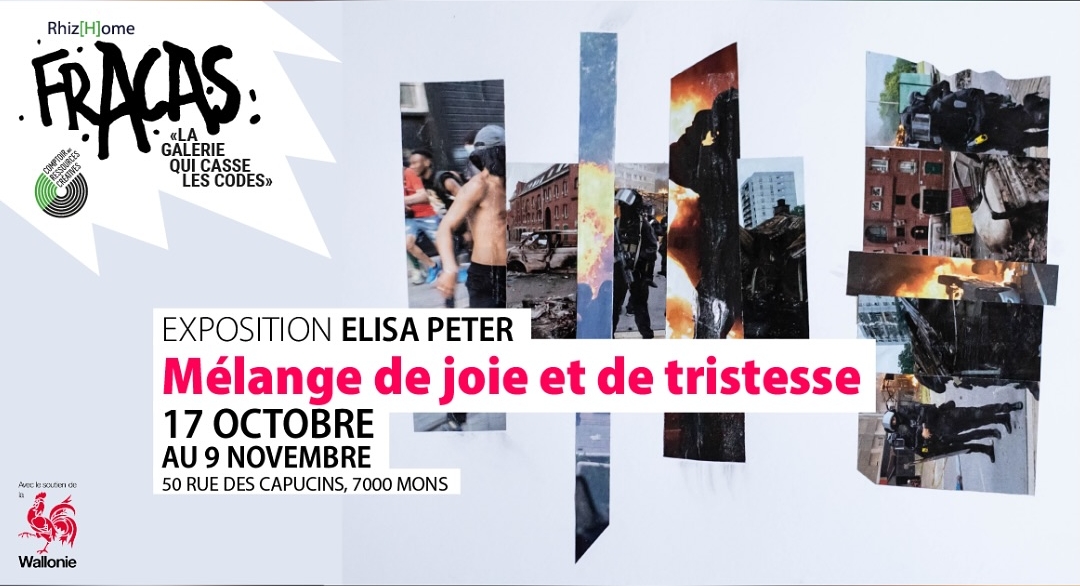 Mélange de joie et de tristesse — Elisa Peter